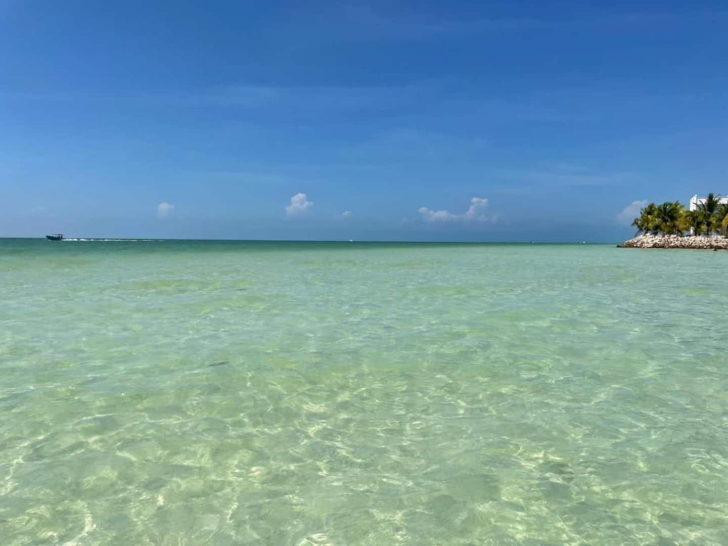 Hotel Pool View Loft Steps From The Ocean In Punta Cocos - C101 Isla Holbox Exteriér fotografie