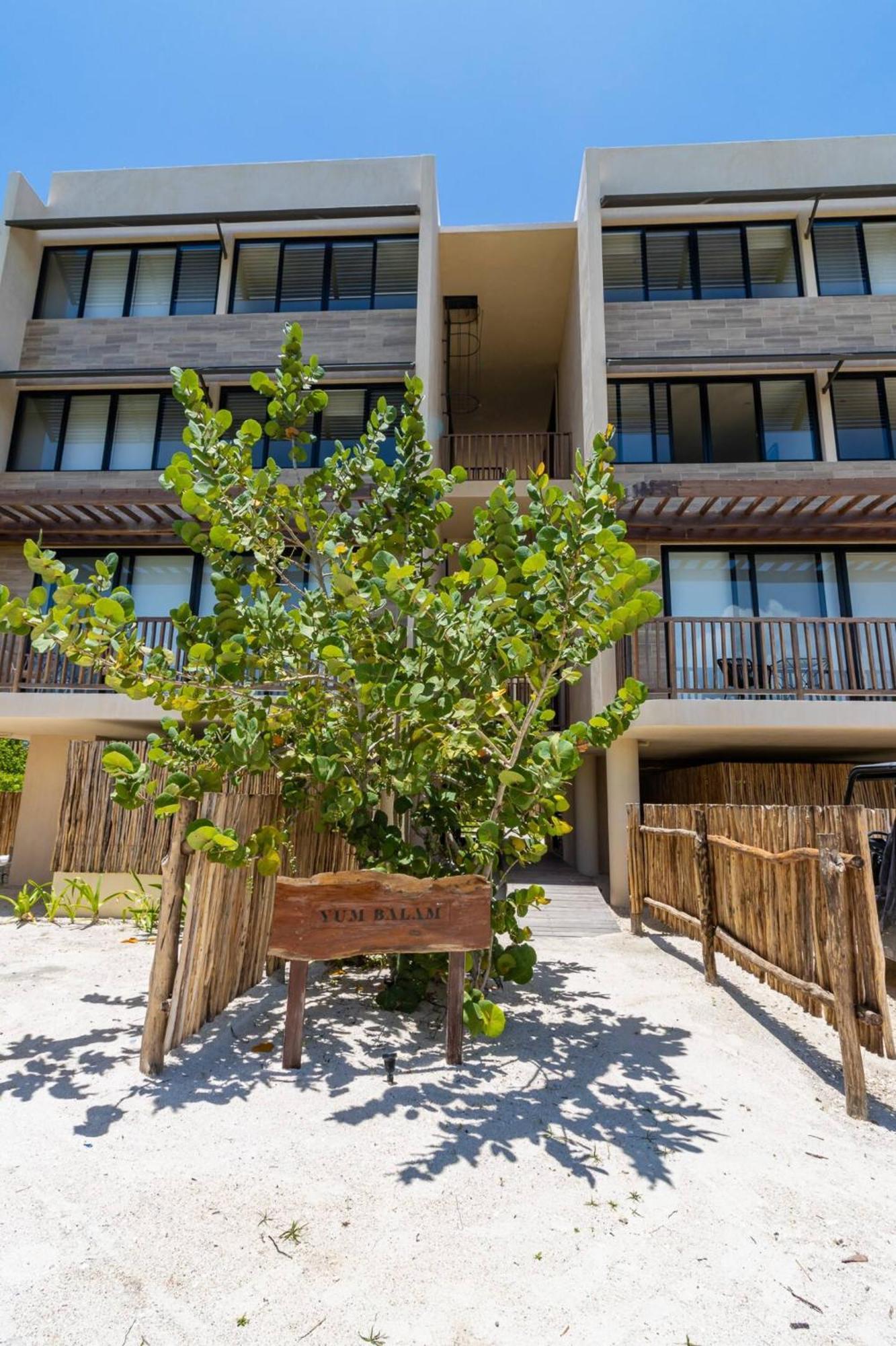 Hotel Pool View Loft Steps From The Ocean In Punta Cocos - C101 Isla Holbox Exteriér fotografie